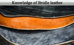 knowledge_of_bridleleather