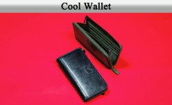 cool-wallet.jpg
